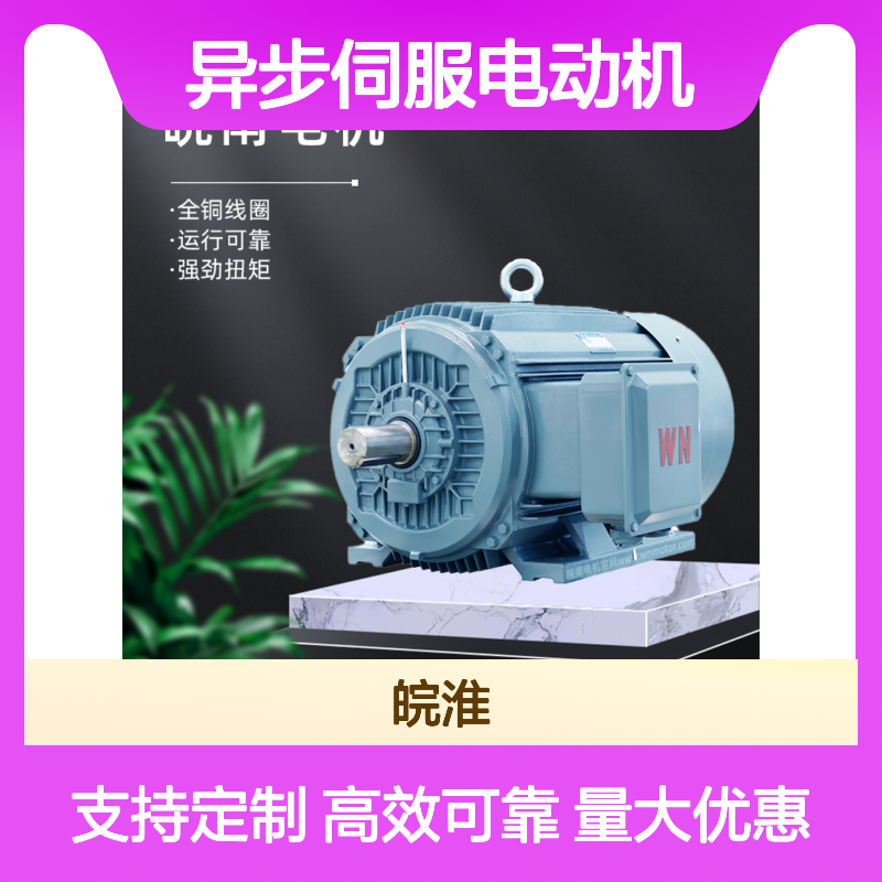 YHS系列高性能异步伺服电动机 皖南电机 拖动各种机械设备