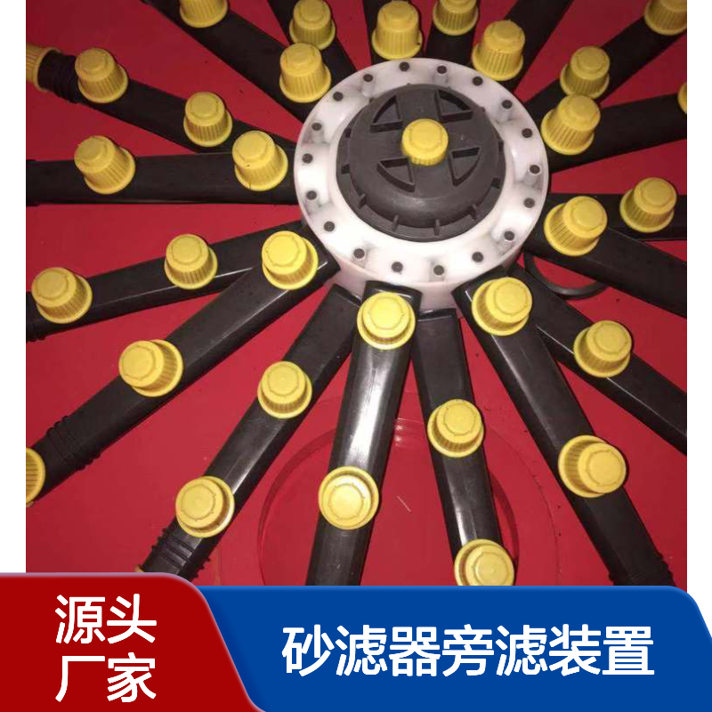 励进砂滤器旁滤装置 工业循环水过滤用 规格齐全 自动降低水浊度