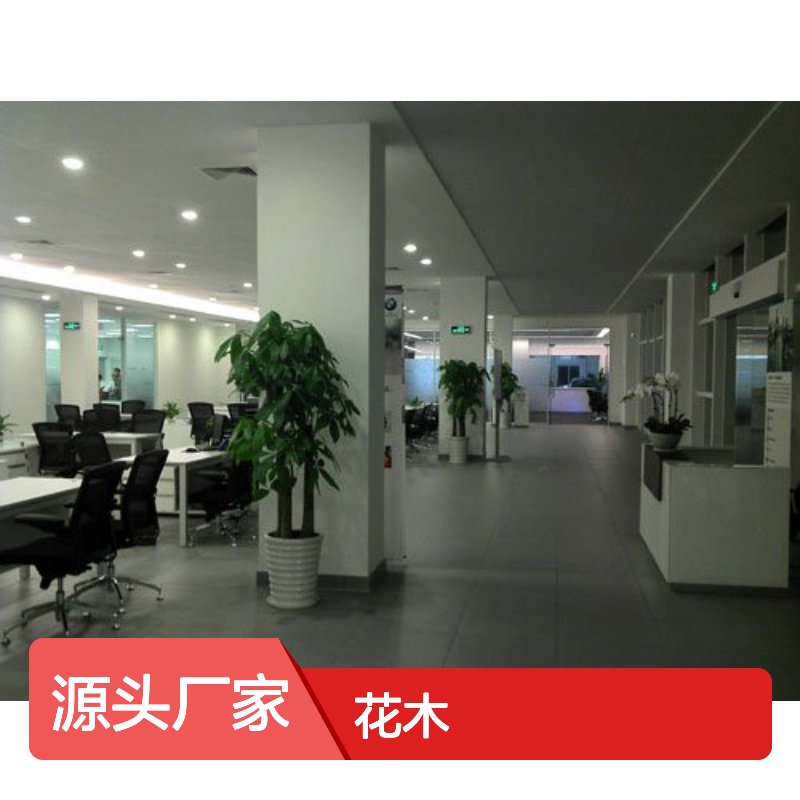 南韵竹风花木出租 服务周全 品种多样 成活率高