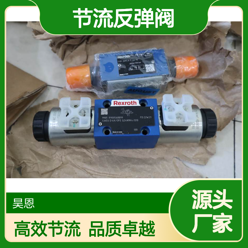 R900481621 Z2FS6-2-42/1Q 德国力士乐REXROTH节流反弹阀