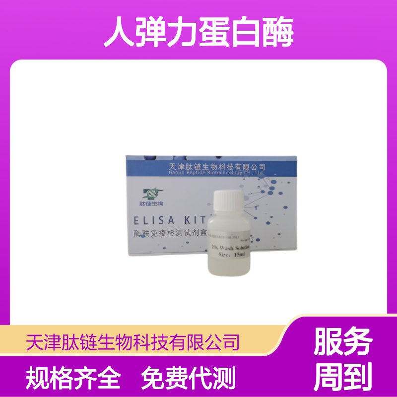 人弹力蛋白酶(Elastase)elisa试剂盒 血清血浆尿液样本检测专用