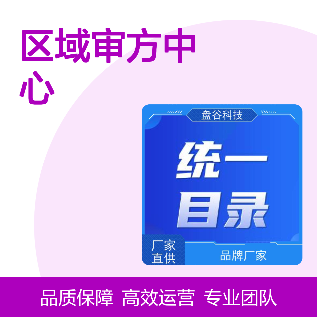 盘谷医疗 区域审方中心 运营团队 众多落地案例