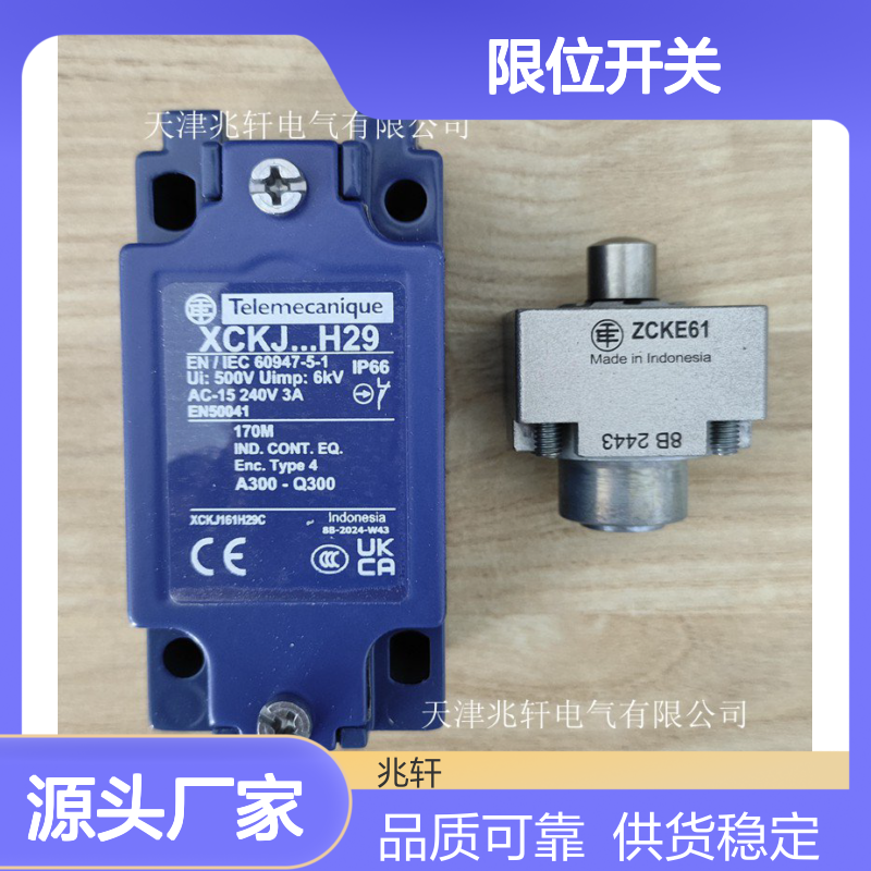 XCKJ161H29C限位开关特勒美科厂家供应 售后质保