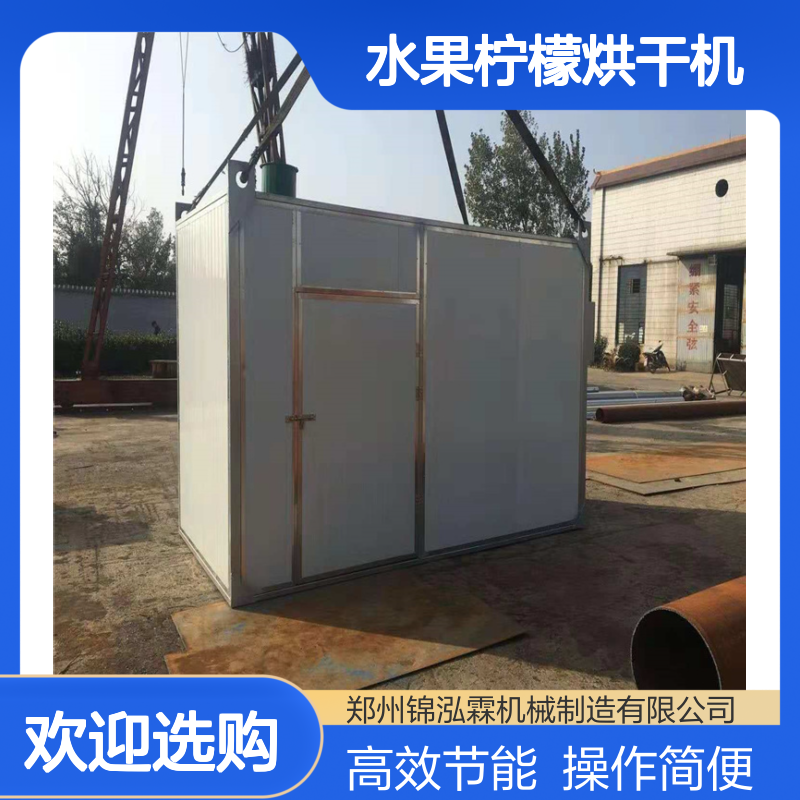 水果柠檬烘干机 苜蓿草电加热烘干设备 小型槟榔干燥机