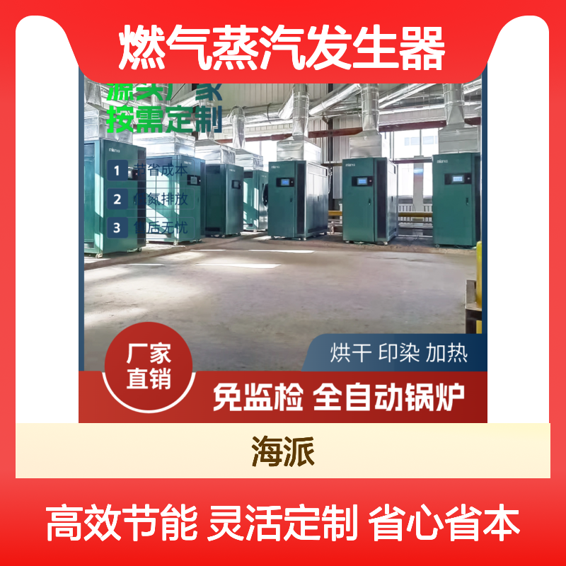 蒸能达燃气蒸汽发生器 工业商用全自动 低氮排放省成本
