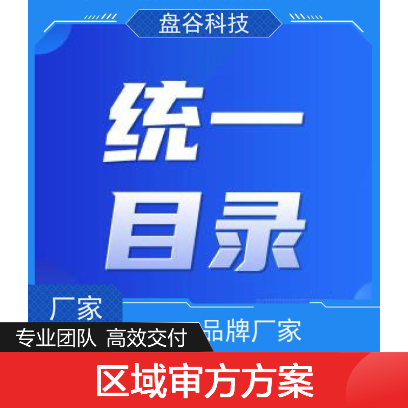 盘谷医疗 区域审方中心建设方案 运营团队 更易交付