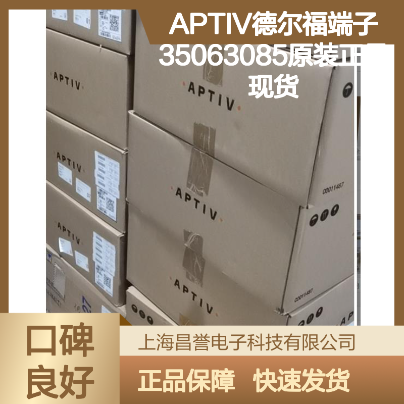 APTIV德尔福端子35063085 原装正品 现货直发 快速交付