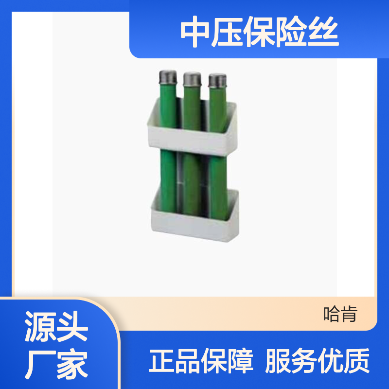 哈肯供应 法国SFE总代理 TB11D 代表中压保险丝