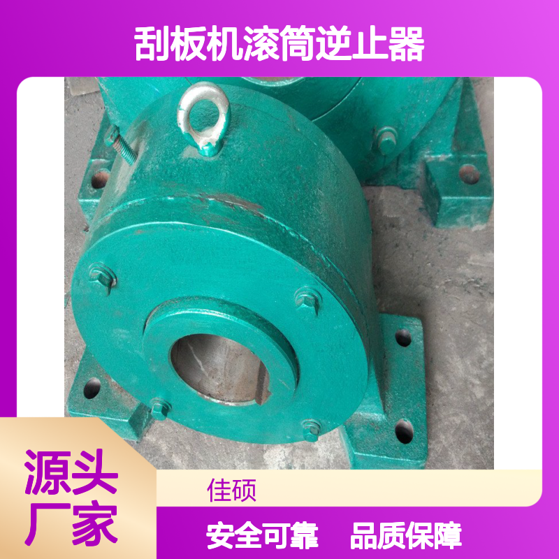 刮板机滚筒逆止器 内置防逆转装置 无卡滞运 超长寿命