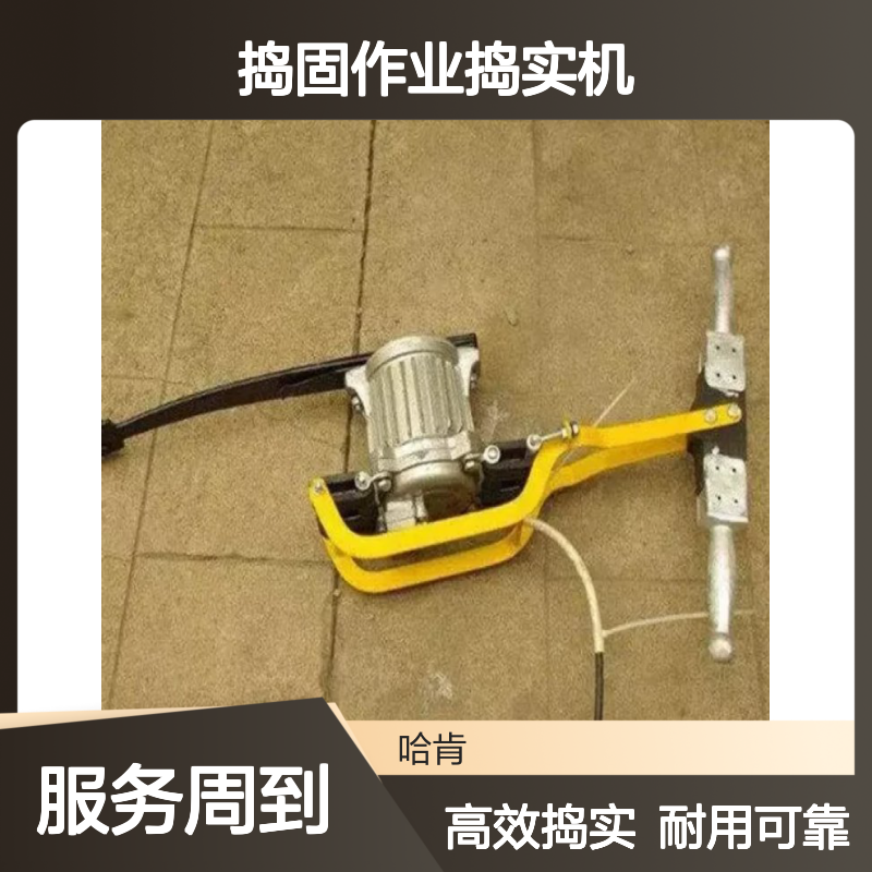 哈肯国际贸易供应 铁路道床捣固作业捣实机D-3