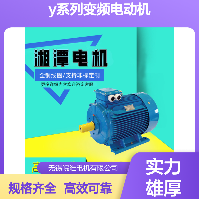 湘1潭2电机Y系列变频电动机5-200Hz宽调速范围恒转矩