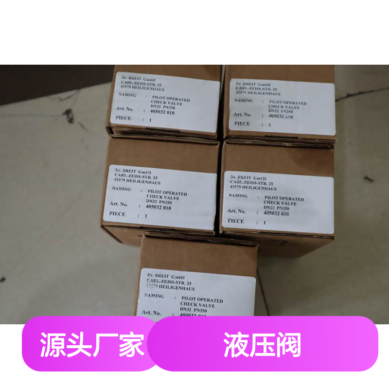 Dr.BREIT GmbH 405032010 DN32 PN350 德国液压阀 CHECK VALVE
