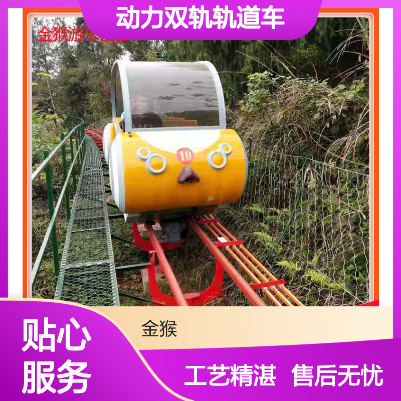 景区游览轨道车 动力双轨设计 金猴游乐专业设备