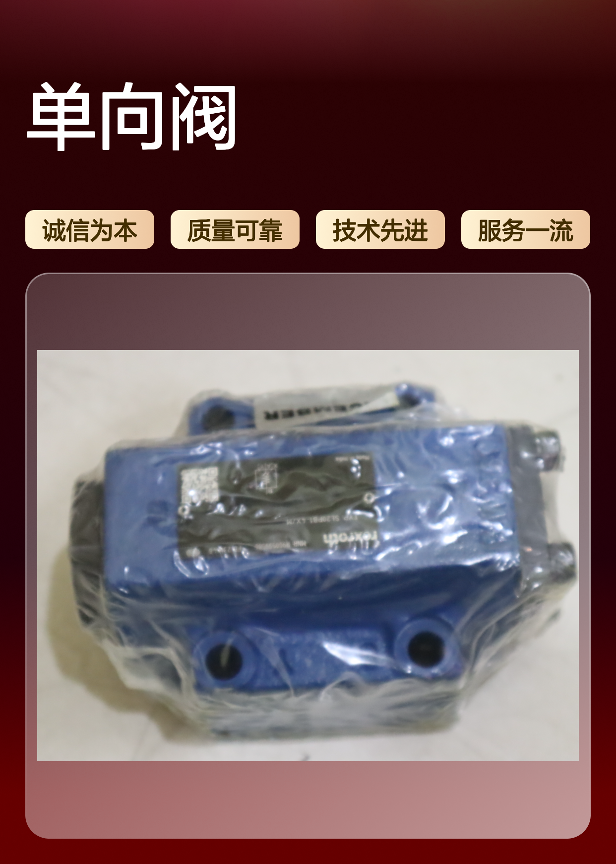 SL20PB1-4X/M SL20PB1-42/M R900599586 德国力士乐REXROTH单向阀