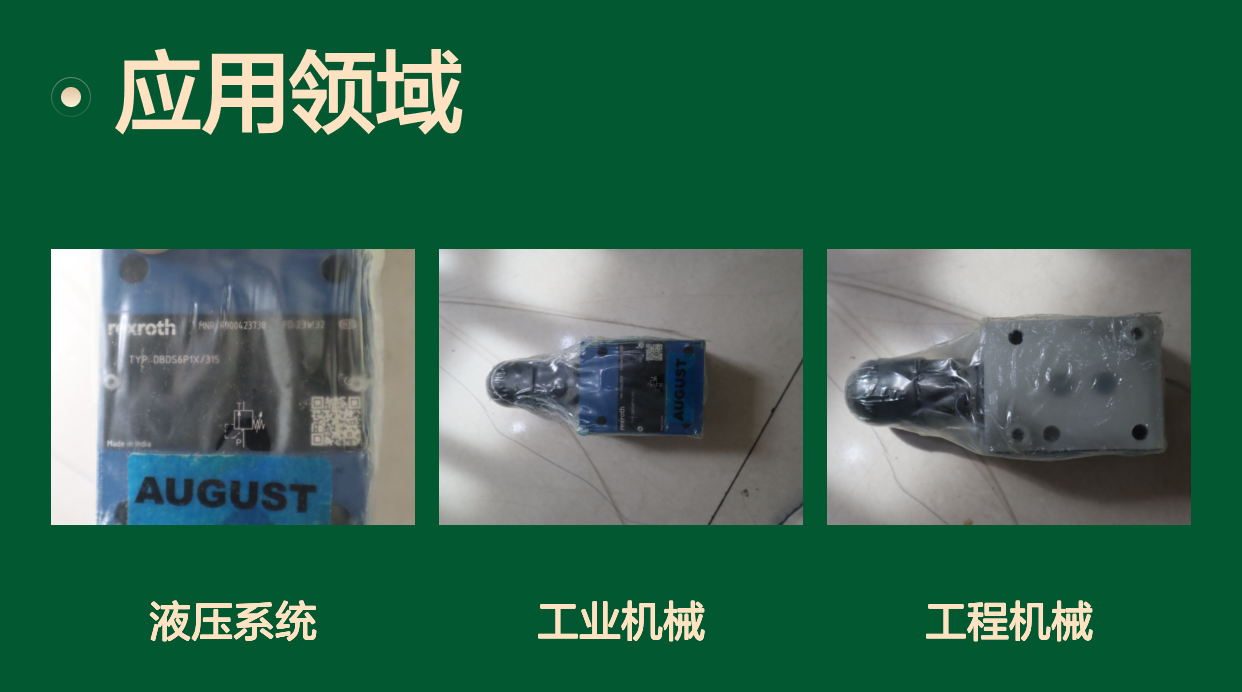 R900423730 DBDS6P17/315 DBDS6P18/315 德国力士乐REXROTH溢流阀