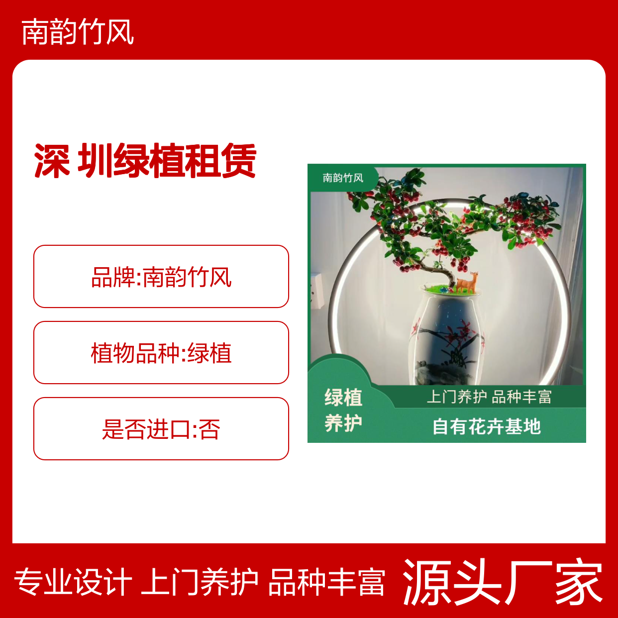 南韵竹风深 圳绿植租赁公司 办公室植物租摆服务 专车配货上门