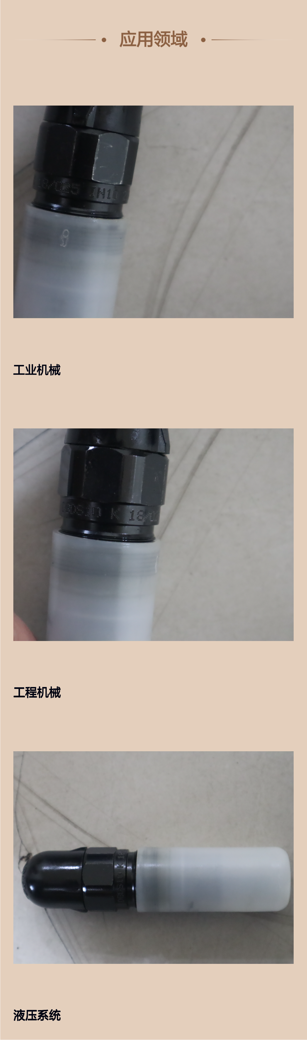 R900420276 DBDS 10 K1X/25 DBDS10K18/025 德国力士乐REXROTH溢流阀