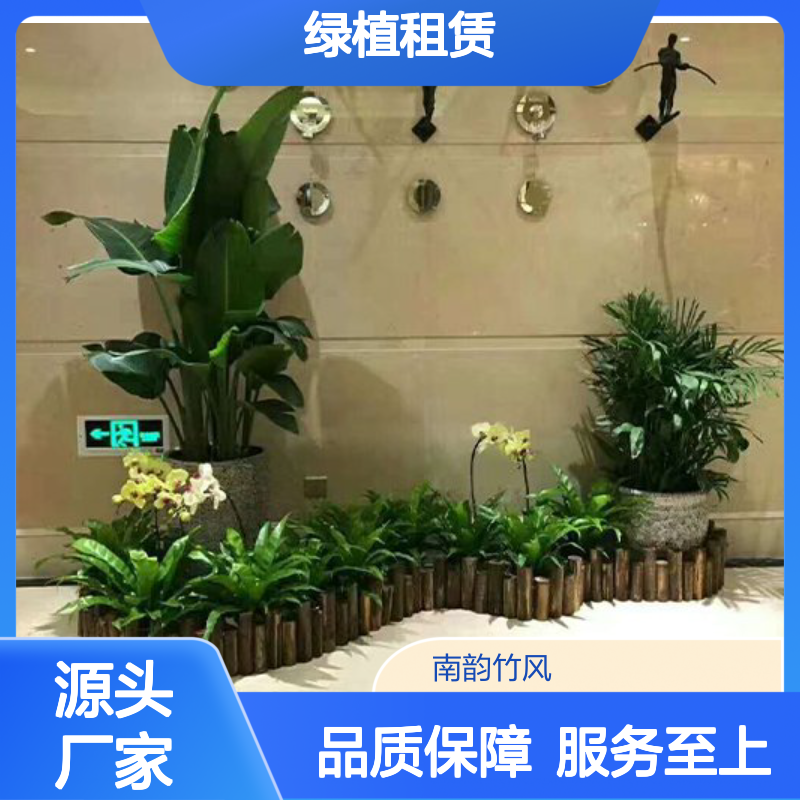 南韵竹风绿植租赁 承接绿化工程 品种多样 成活率高