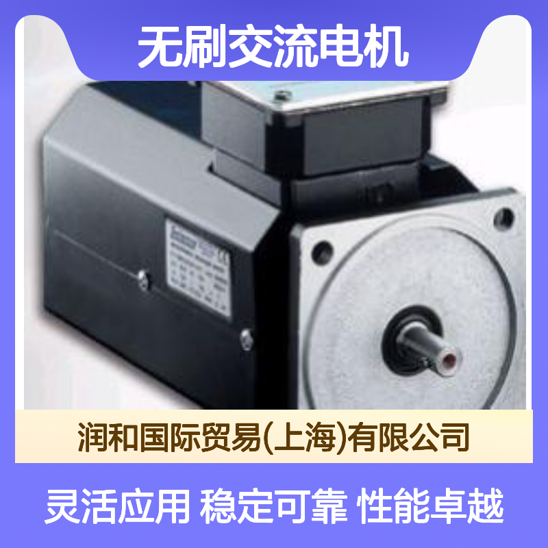 意大利Selema无刷交流电机 R6M20170209M 多型号可选 高效稳定