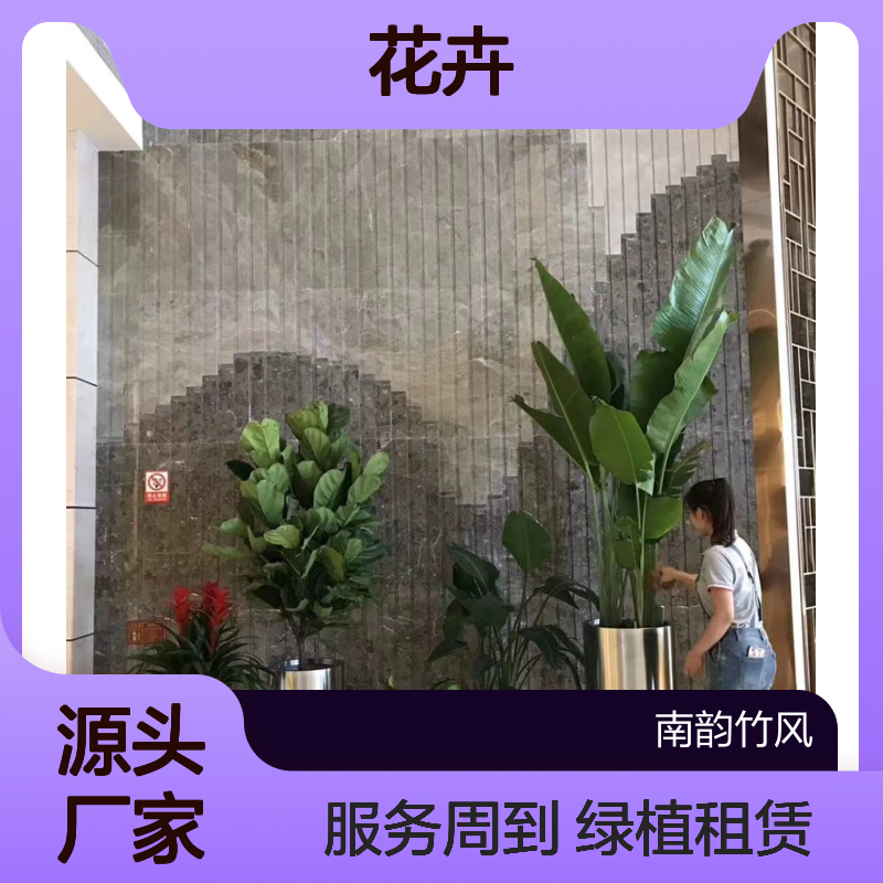 南韵竹风 绿植盆栽租赁服务 适用于商场写字楼 全程养护