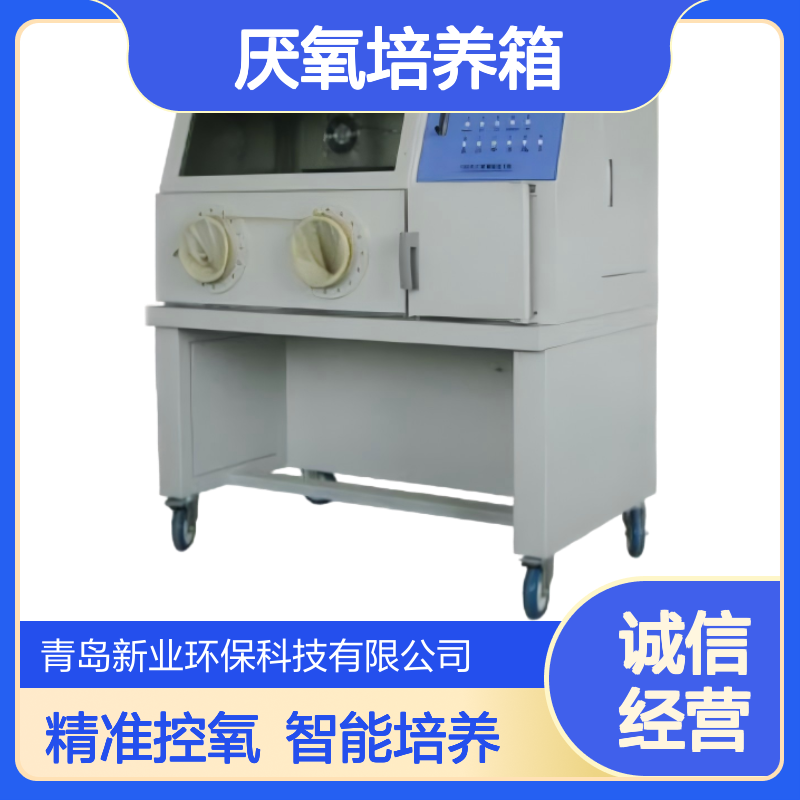 XY-IIYQX型厌氧培养箱在无氧或微氧环境下培养的装置 智能控温控氧