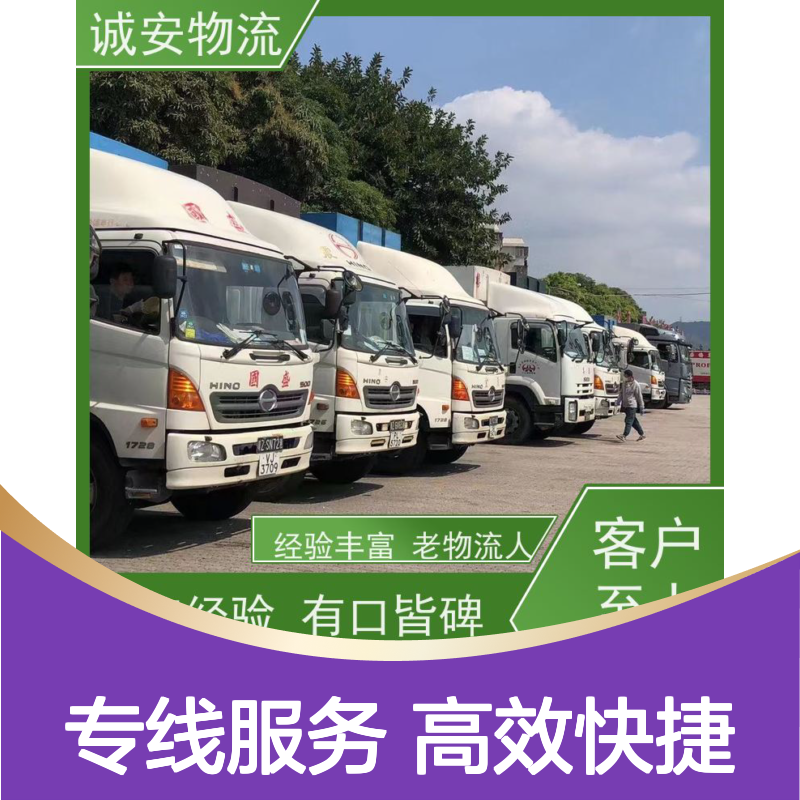 诚安物流东莞到香港散货快运速度快随时发车