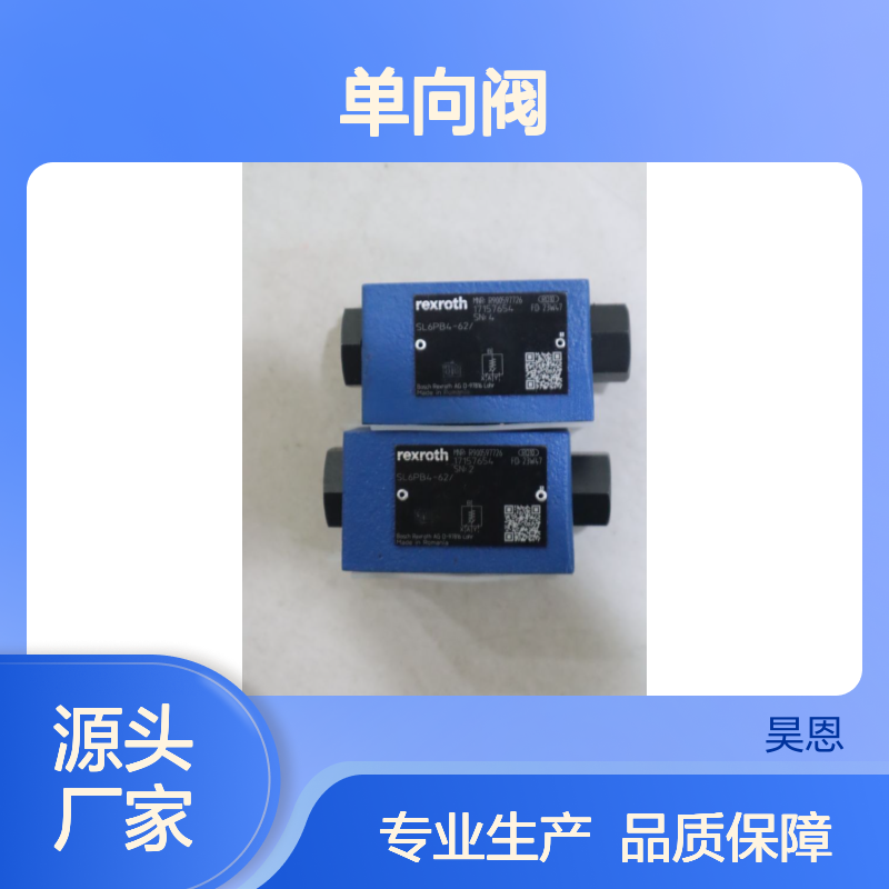 SL6PB4-62/ SL6PB4-6X/ SL6PB4-61/ R900597726 力士乐REXROTH单向阀