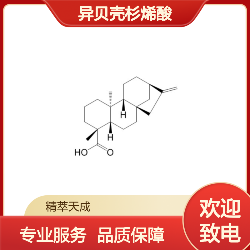 异贝壳杉烯酸 HPLC≥98% 中药对照品 标准品 科研专用现货