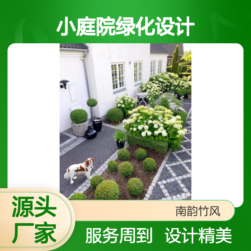小庭院绿化设计 阳台绿植景观 街道别墅园林绿化 南韵竹风