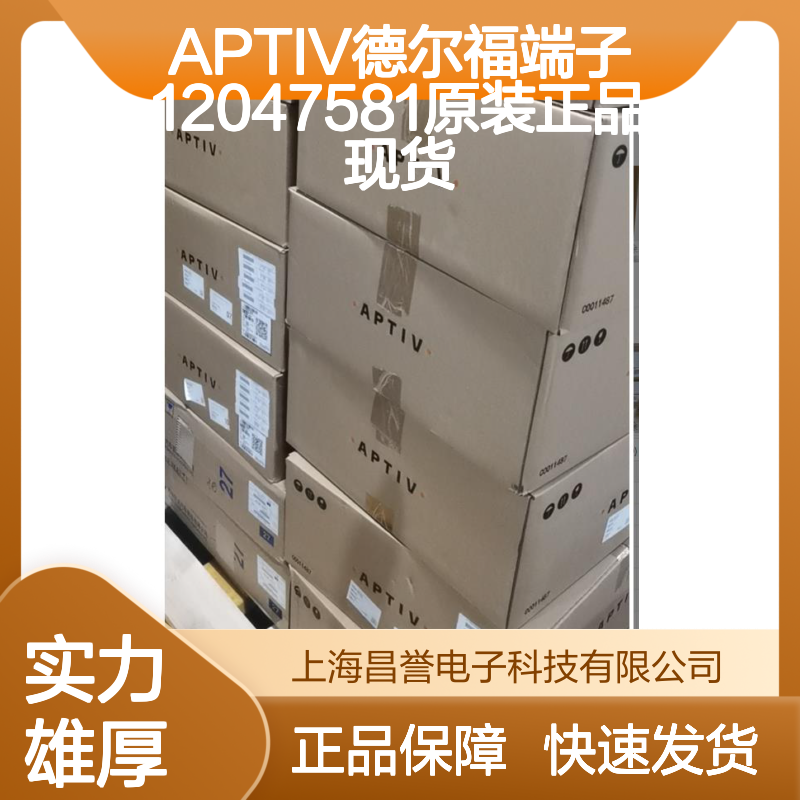 APTIV德尔福端子12047581 原装正品 现货直发 货源可溯