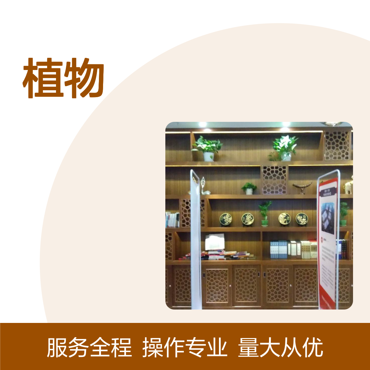 南韵竹风绿植租赁服务，承接绿化工程 品种多样