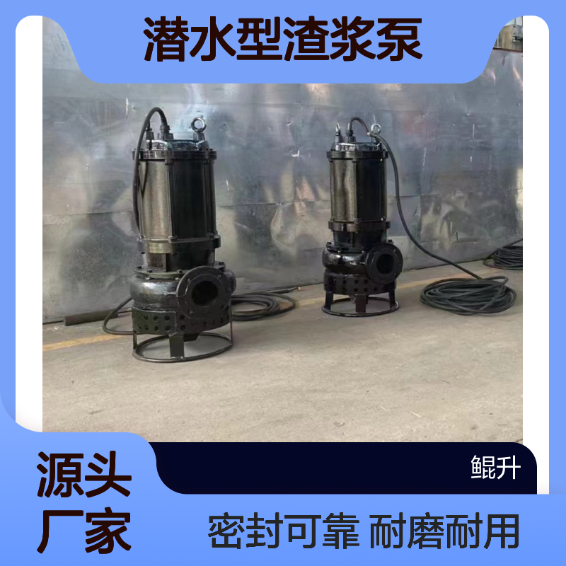 沉渣池潜水型渣浆泵 抽泥沙泥浆泵 耐磨材质 机械密封