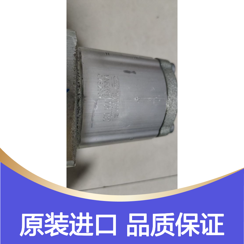 0510725030 AZPF-12-022RCB20KB 德国力士乐REXROTH齿轮泵
