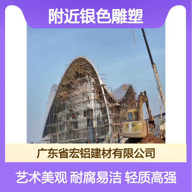 附近银色雕塑展，绽放都市艺术魅力 使用区域 吊顶