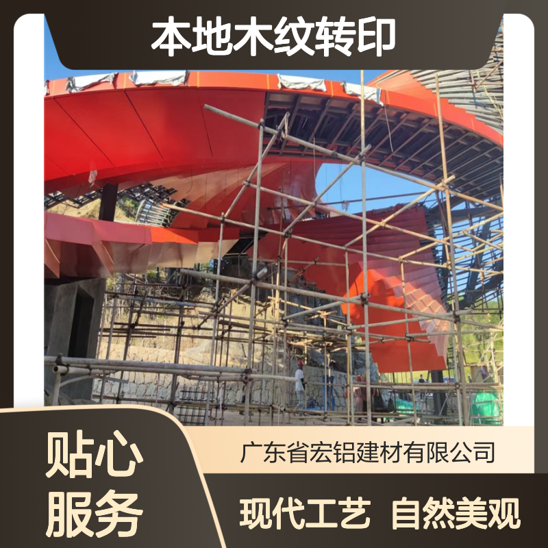 本地木纹转印：自然韵味与现代工艺的完美融合 表面色彩 彩色烤漆