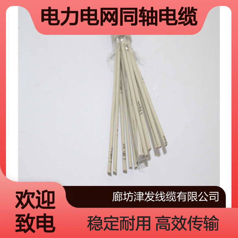 电力电网同轴电缆WDZB-SYV-75-2-2*8两兆射频线
