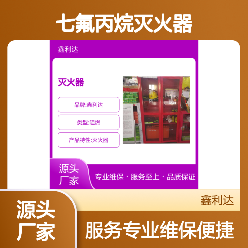 七氟丙烷灭火器 专业维保 消防设备必备选择 服务至上
