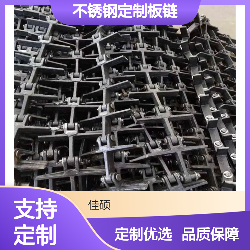 佳硕NE200提升机板链 不锈钢定制板链 外形48.5*57.6mm