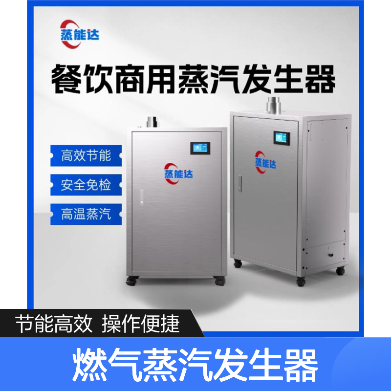 蒸能达燃气蒸汽发生器 高效节能免报检 随用随启