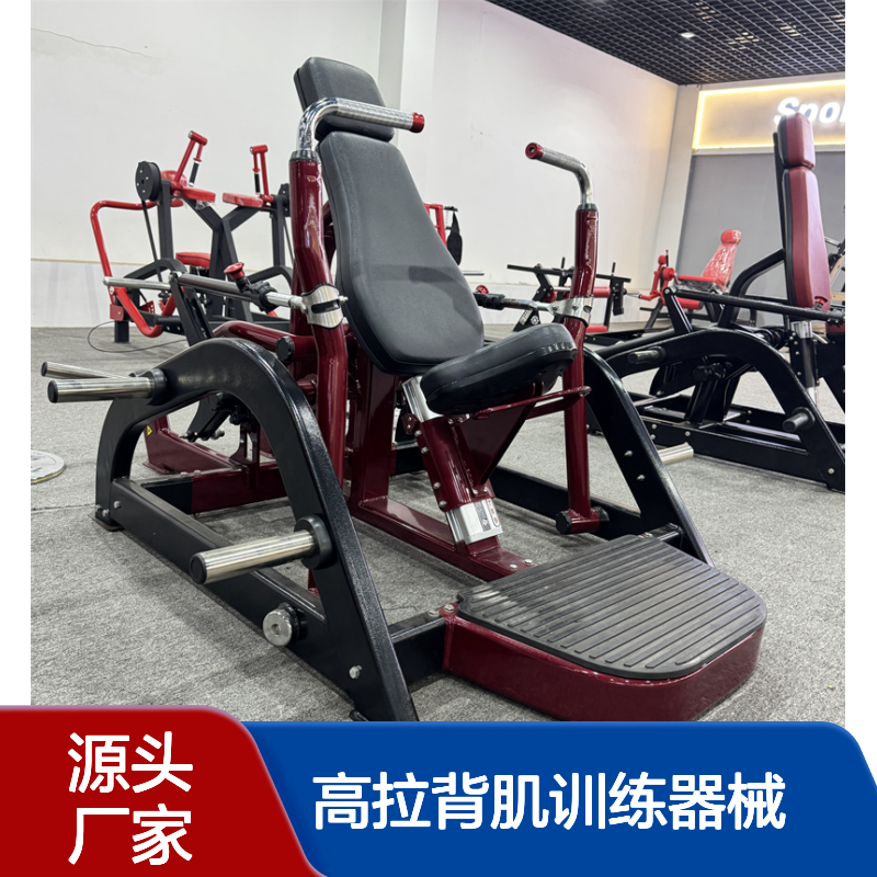 诺德士NDS推肩推胸训练器 精钢定制 增肌力量商用健身房高拉背肌器材