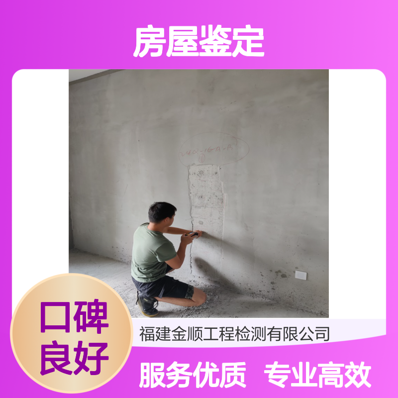 厂房结构安全性验收检测鉴定 房屋鉴定报告 专业团队高效服务