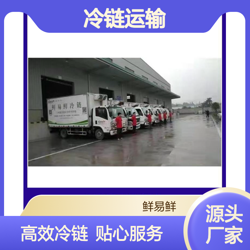 冷链运输 广州到山东物流专线 可以免费上门取货 鲜易鲜