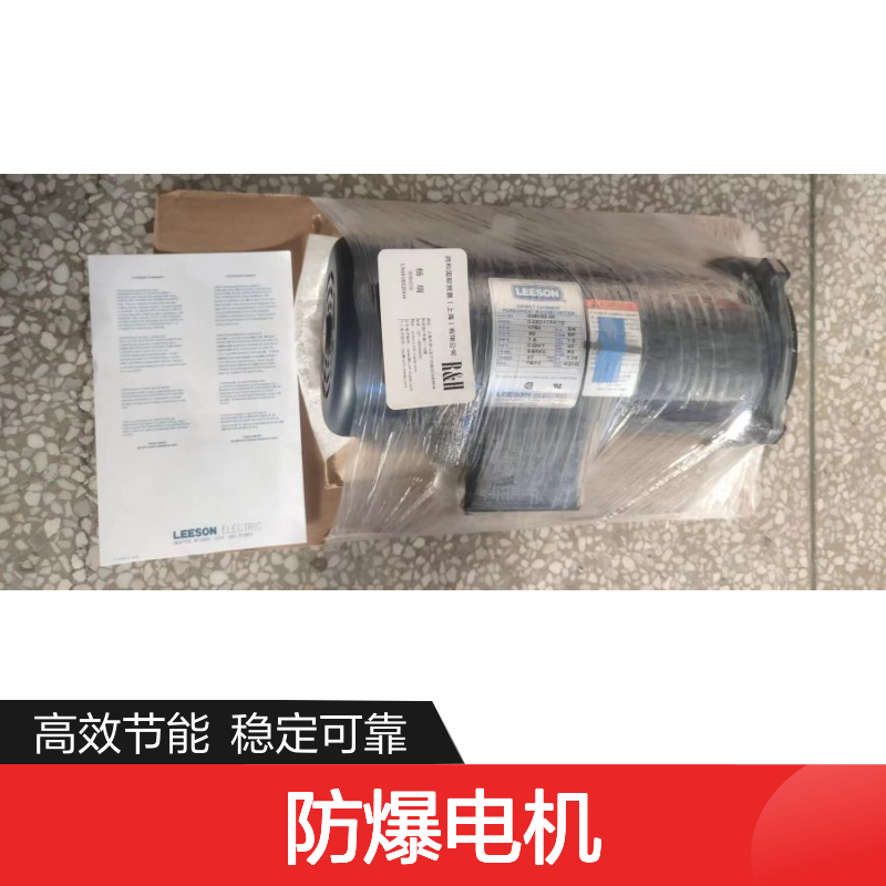 美国LEESON防爆电机 C4D17VK1E 高效稳定 工业动力之选