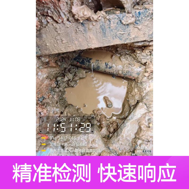 专业漏水检测维修 南山技术领先