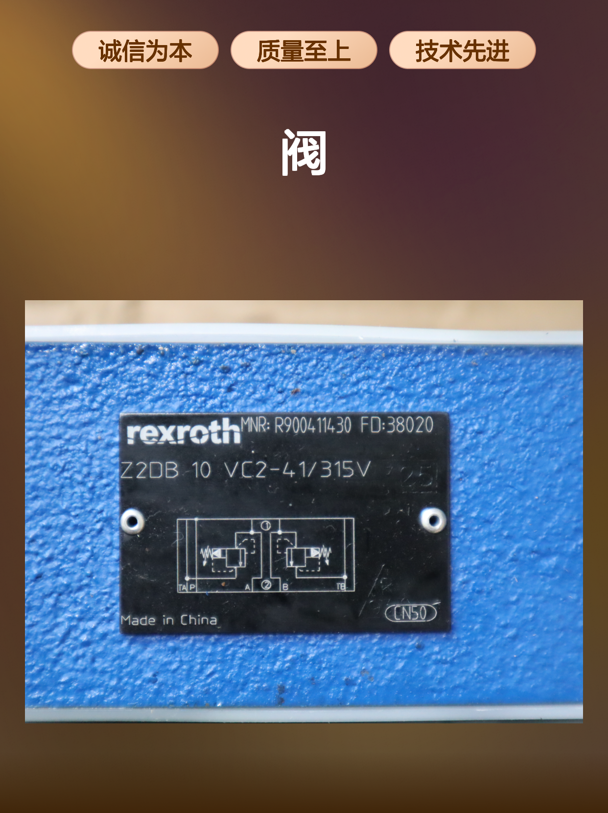 Z2DB10VC2-4X/315V R900411430 Z2DB10VC2-42/315V 力士乐REXROTH阀