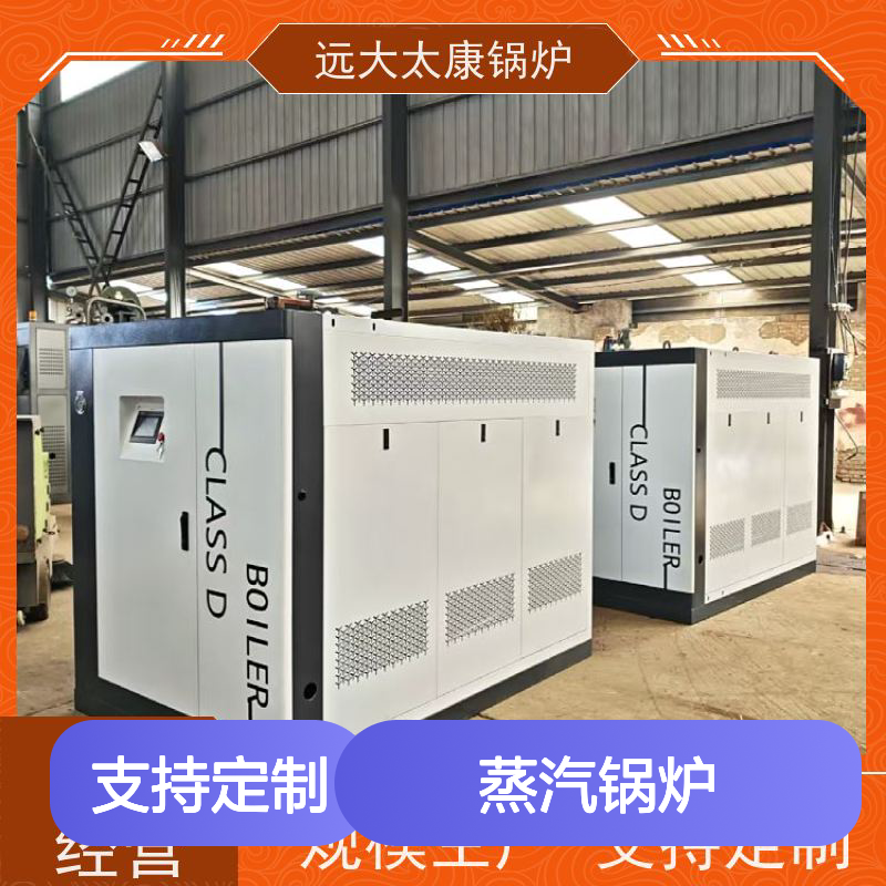 远大太康 2吨免报检食品加工D级蒸汽锅炉 高效节能环保
