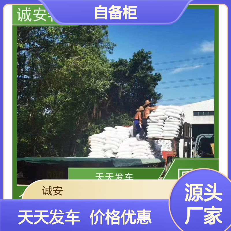诚安物流45尺自备柜东莞到深圳商检随时发车