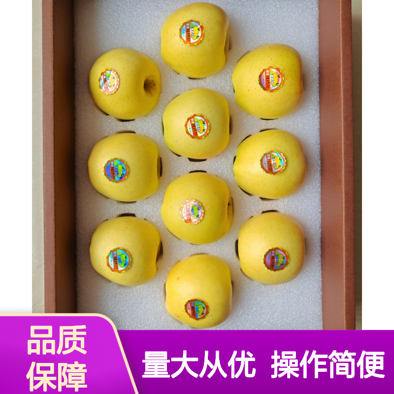 维纳斯黄金苹果冷藏物流 冷链多式联运 冷冻运输药品配送