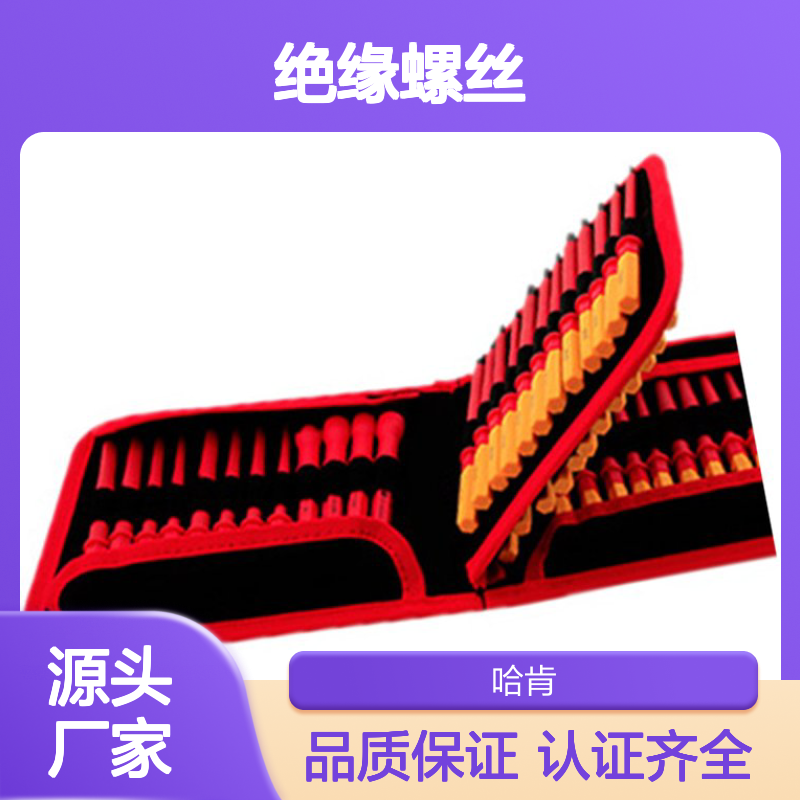 哈肯供应 50件套可换批杆VDE绝缘螺丝批组套 T26N