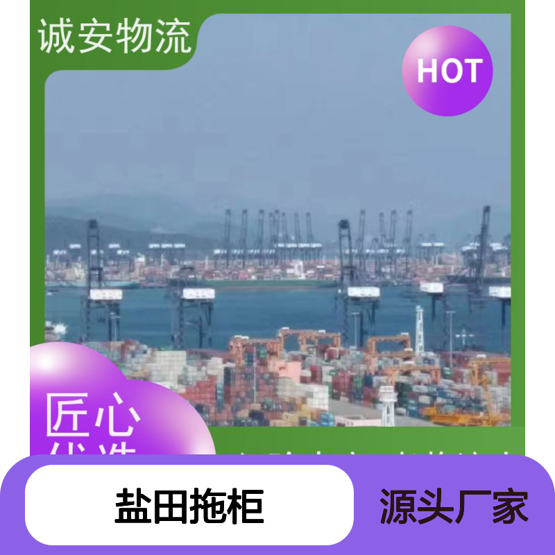 诚安物流 8吨车 盐田拖柜 一般贸易买单报关 半天到